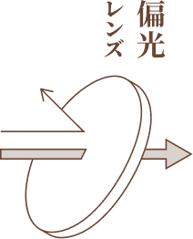 偏光レンズ