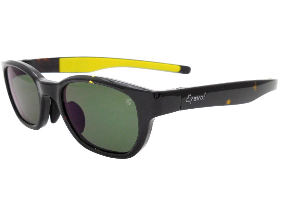 FRIEDMAN_DM-LY-G15偏光