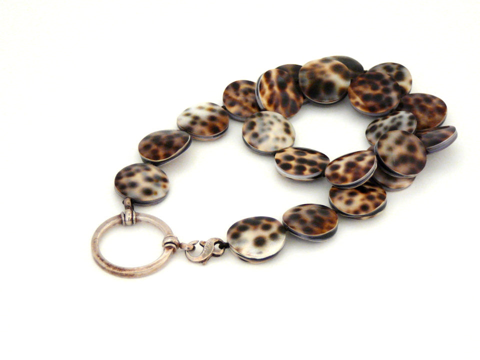 139_タイガーコーリーシェル