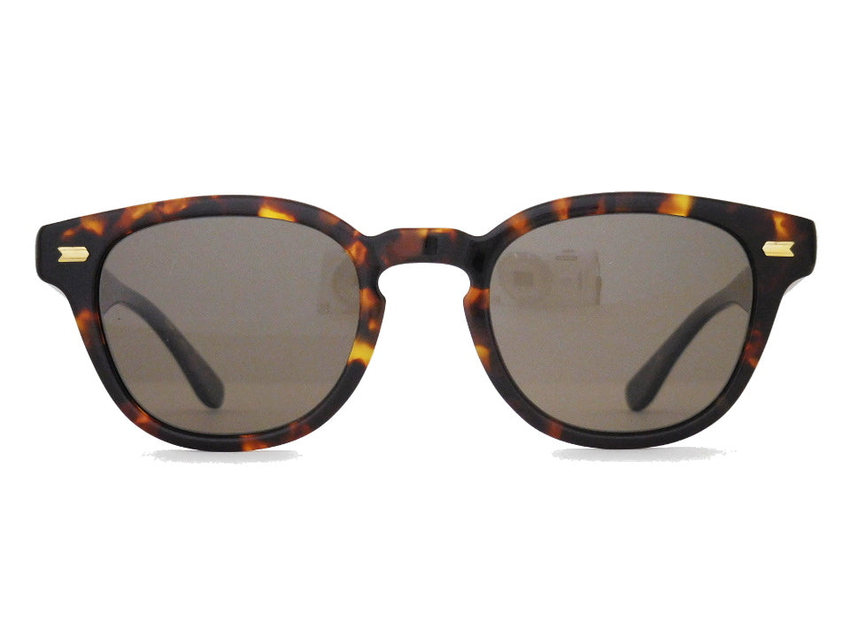 WEBB-SUN_49_TORT_BR偏光