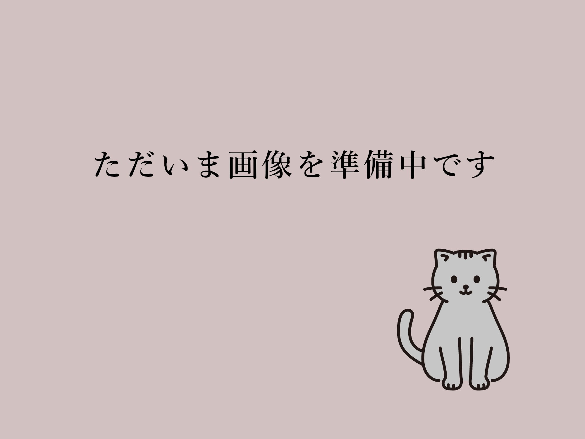 CONLON Ⅲ_49_BK-LG